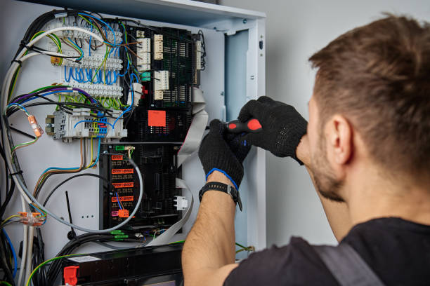 Licensed Electrical Panel Upgrade service in Newaygo, MI - No Joke electrician